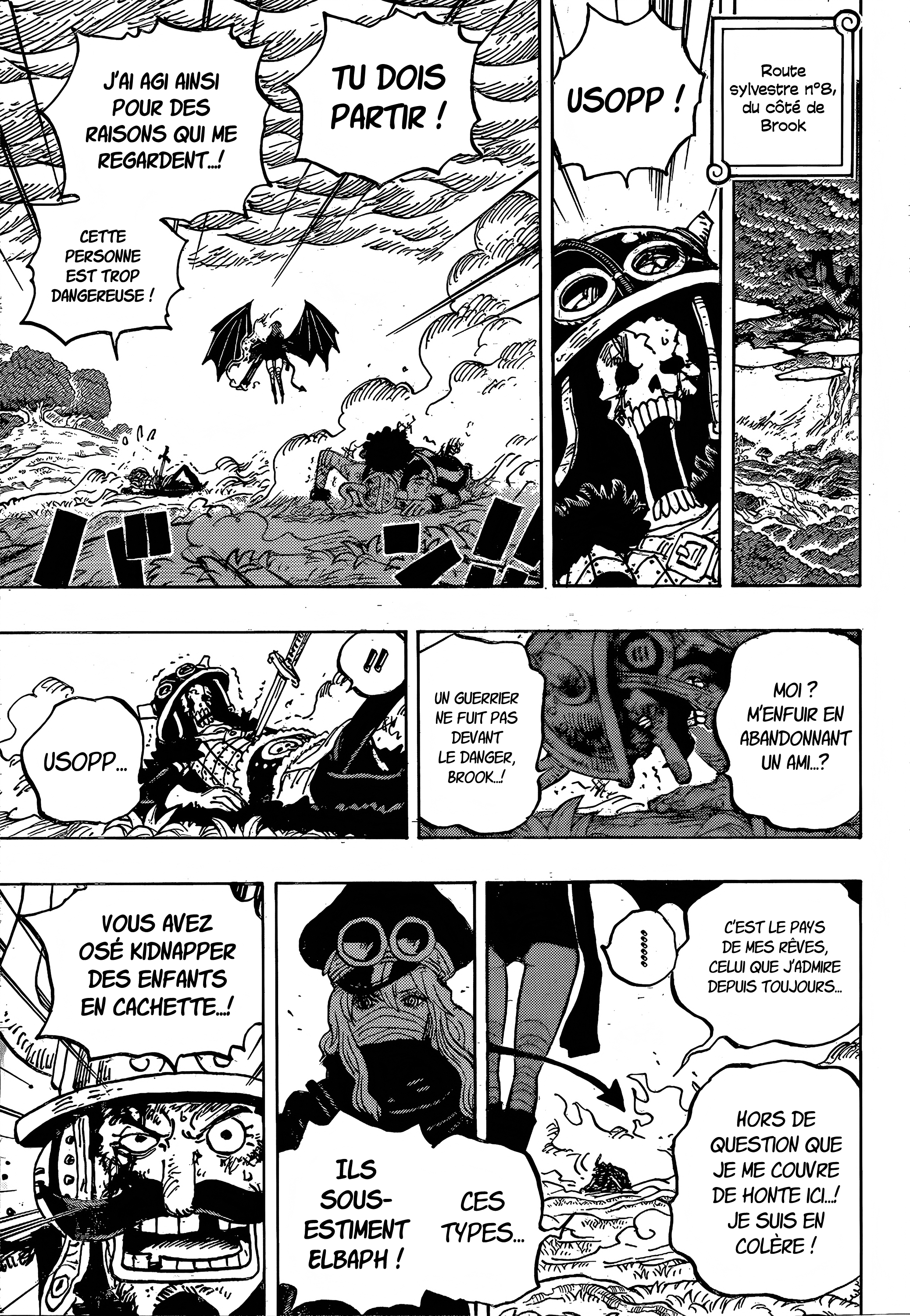       One   Piece Colere Page 14